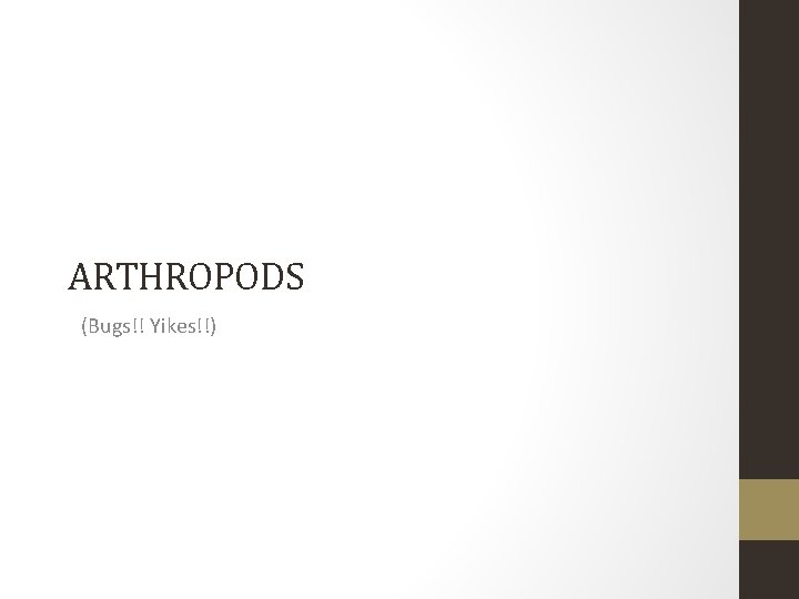 ARTHROPODS (Bugs!! Yikes!!) 