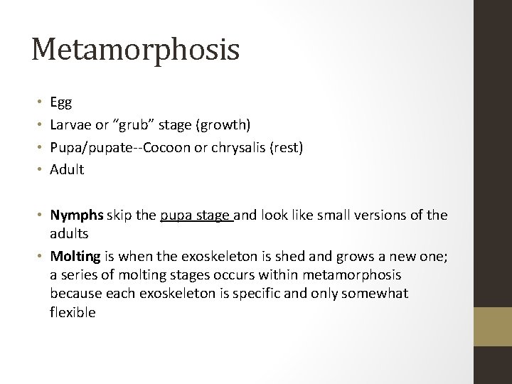 Metamorphosis • • Egg Larvae or “grub” stage (growth) Pupa/pupate--Cocoon or chrysalis (rest) Adult