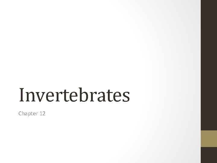 Invertebrates Chapter 12 