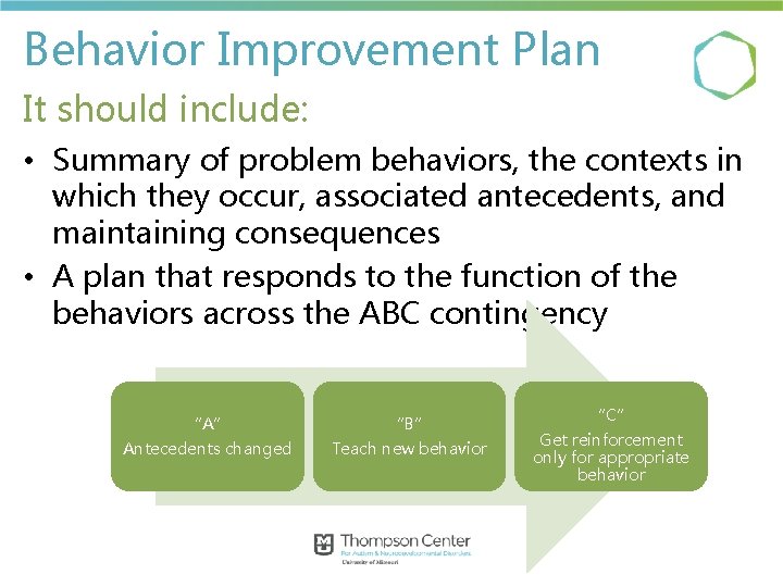 Behavior Improvement Plan It should include: • Summary of problem behaviors, the contexts in