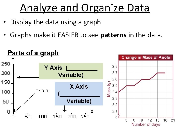 Analyze and Organize Data • Display the data using a graph • Graphs make