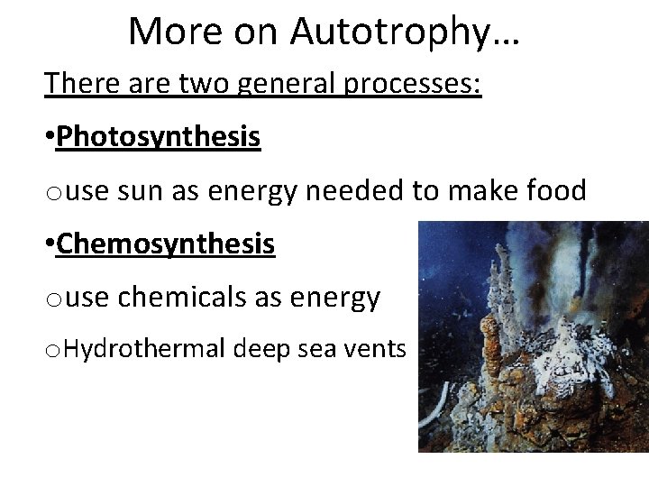 More on Autotrophy… There are two general processes: • Photosynthesis ouse sun as energy