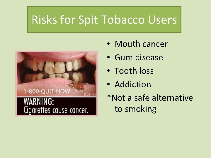 Risks for Spit Tobacco Users • Mouth cancer • Gum disease • Tooth loss