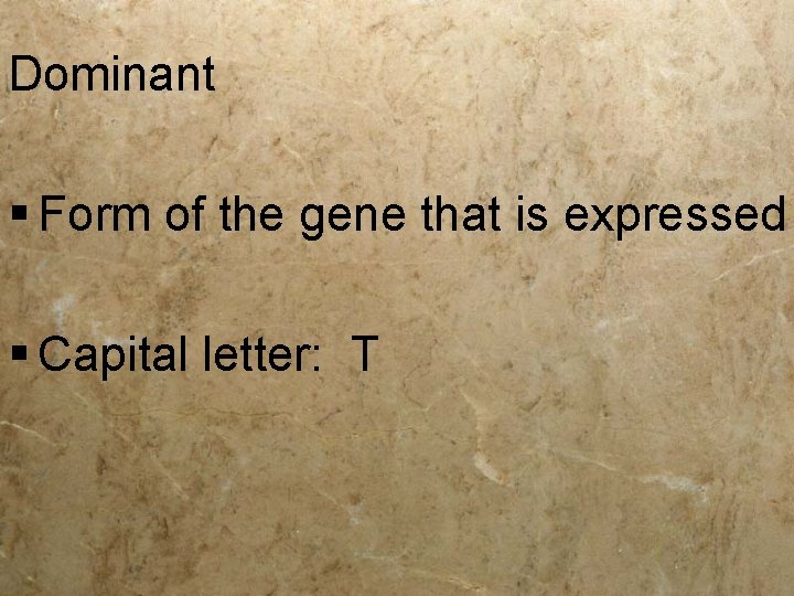 Dominant § Form of the gene that is expressed § Capital letter: T 