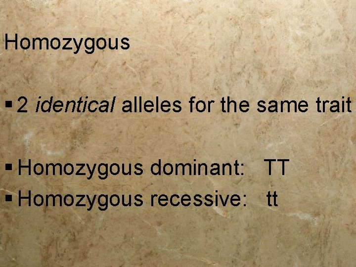 Homozygous § 2 identical alleles for the same trait § Homozygous dominant: TT §