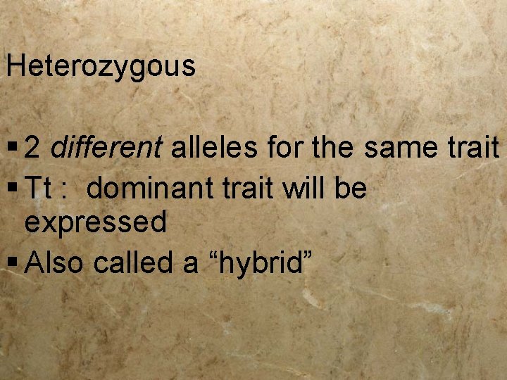 Heterozygous § 2 different alleles for the same trait § Tt : dominant trait