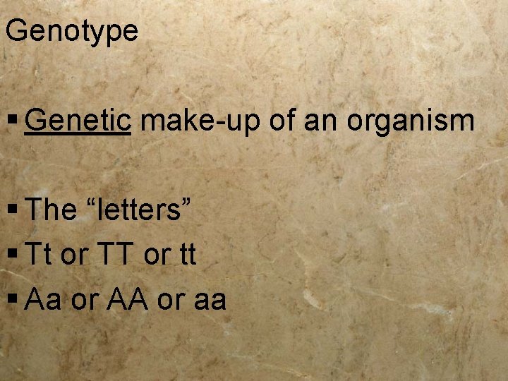 Genotype § Genetic make-up of an organism § The “letters” § Tt or TT