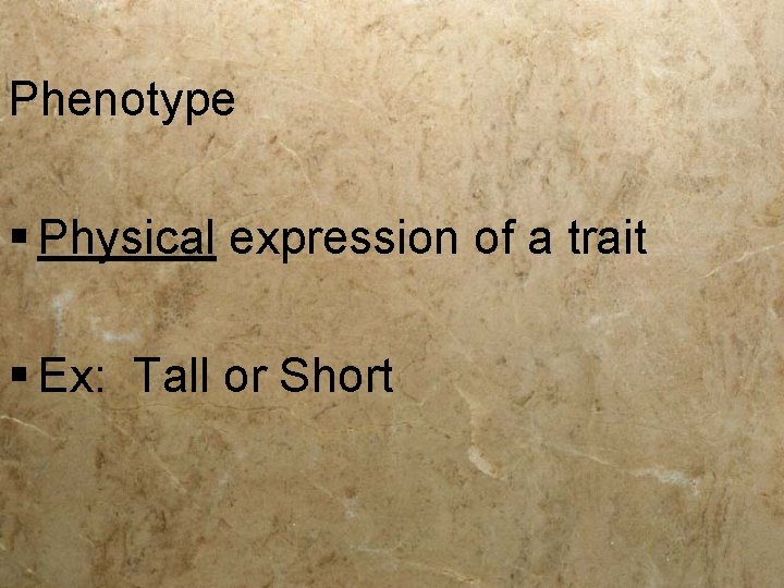Phenotype § Physical expression of a trait § Ex: Tall or Short 