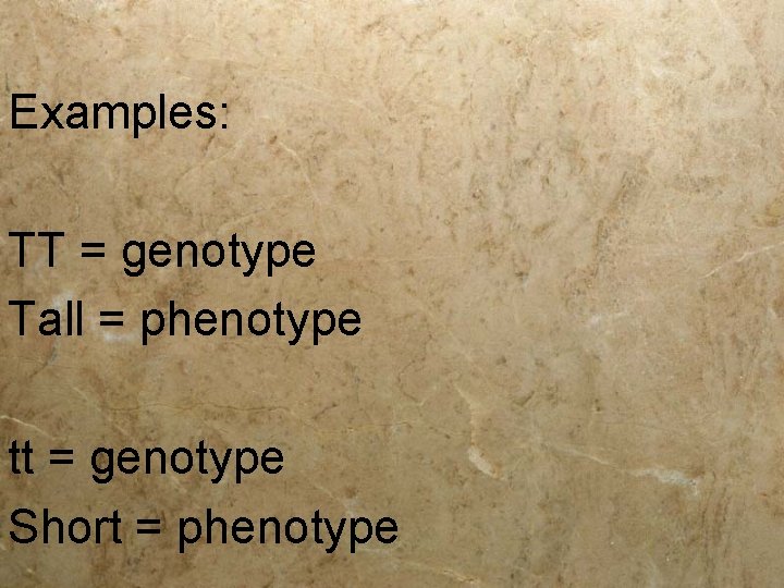 Examples: TT = genotype Tall = phenotype tt = genotype Short = phenotype 