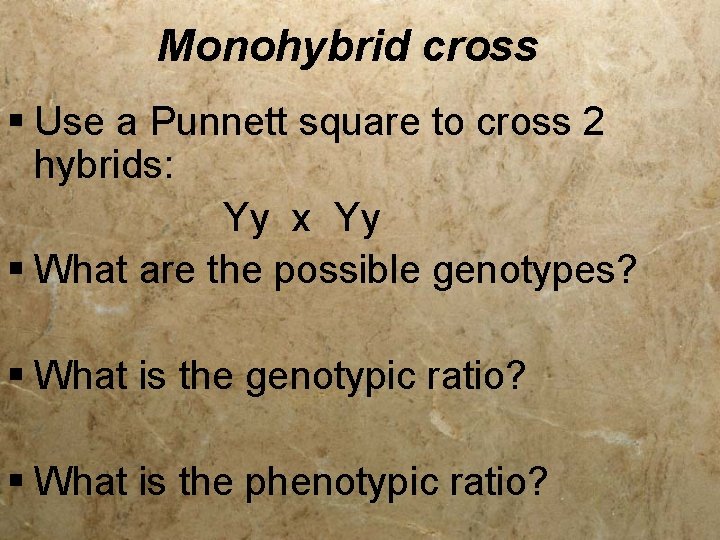 Monohybrid cross § Use a Punnett square to cross 2 hybrids: Yy x Yy