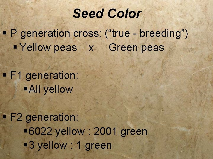 Seed Color § P generation cross: (“true - breeding”) § Yellow peas x Green