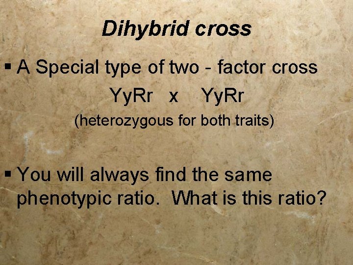 Dihybrid cross § A Special type of two - factor cross Yy. Rr x
