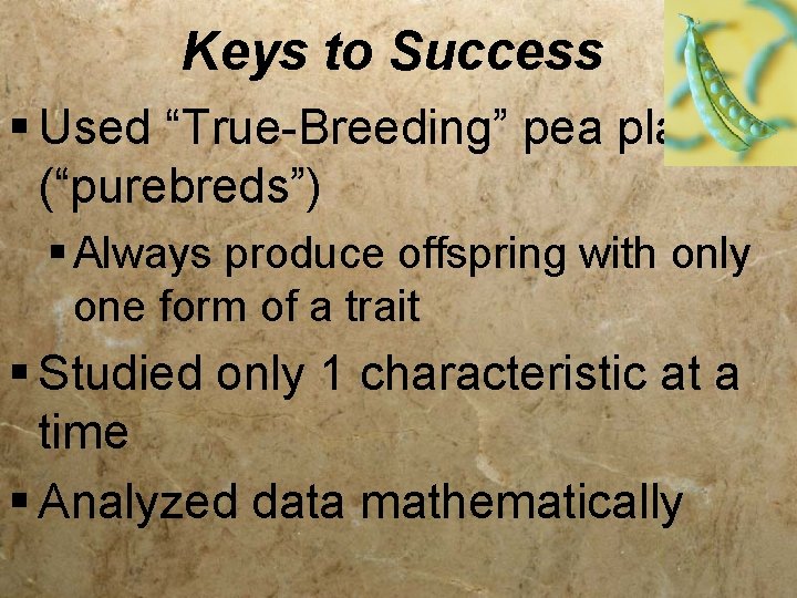 Keys to Success § Used “True-Breeding” pea plants (“purebreds”) § Always produce offspring with
