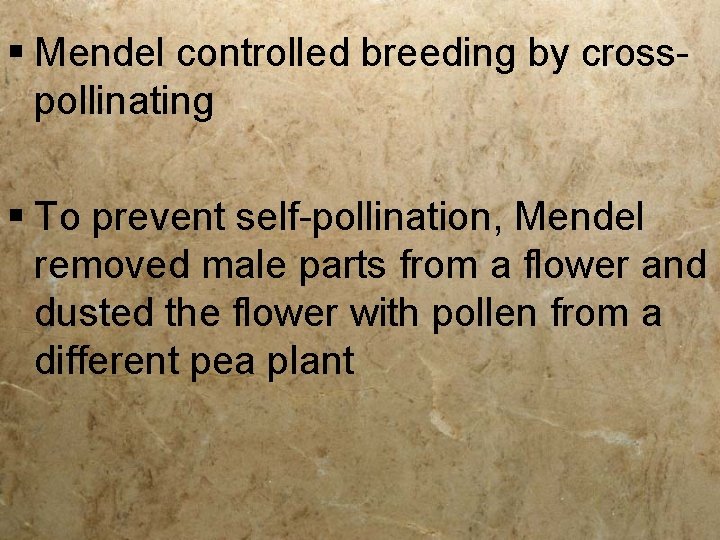 § Mendel controlled breeding by crosspollinating § To prevent self-pollination, Mendel removed male parts