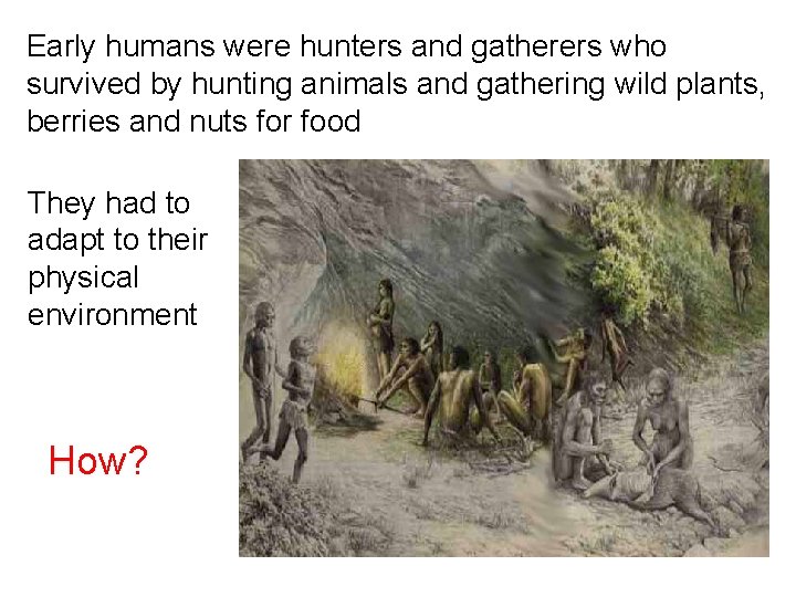 Early humans were hunters and gatherers who survived by hunting animals and gathering wild