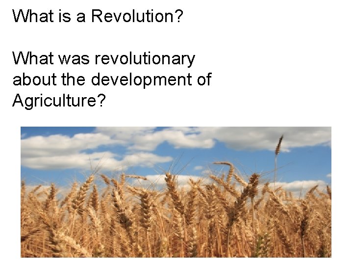 What is a Revolution? What was revolutionary about the development of Agriculture? 