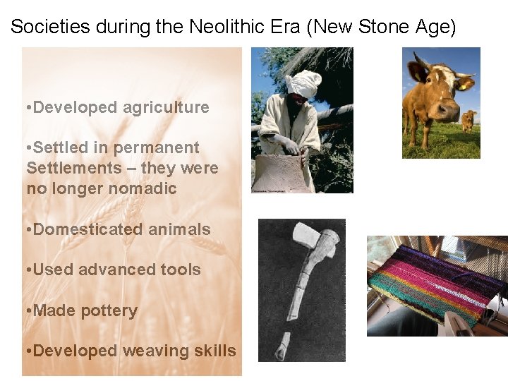 Societies during the Neolithic Era (New Stone Age) • Developed agriculture • Settled in