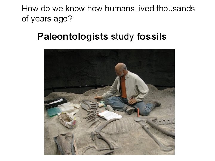 How do we know humans lived thousands of years ago? Paleontologists study fossils 