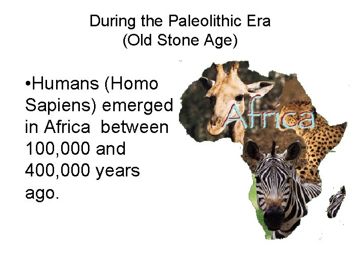 During the Paleolithic Era (Old Stone Age) • Humans (Homo Sapiens) emerged in Africa