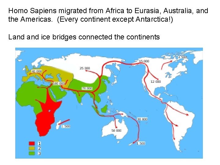 Homo Sapiens migrated from Africa to Eurasia, Australia, and the Americas. (Every continent except