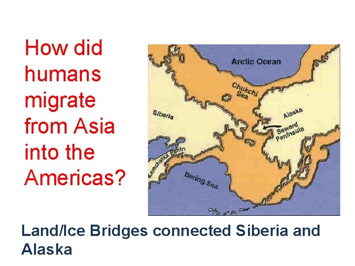 How did humans migrate from Asia into the Americas? Land/Ice Bridges connected Siberia and