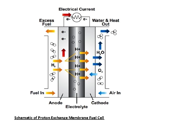 Schematic of Proton Exchange Membrane Fuel Cell 