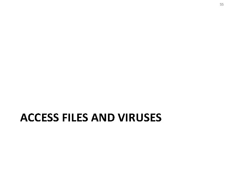 55 ACCESS FILES AND VIRUSES 
