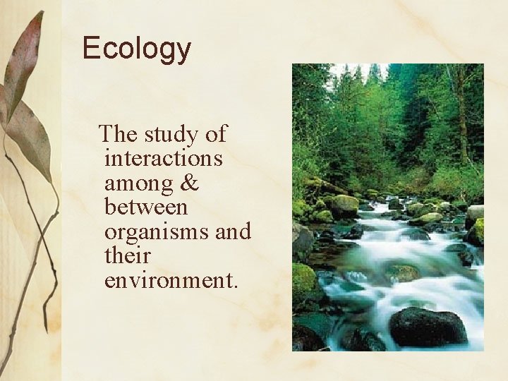 Ecology The study of interactions among & between organisms and their environment. 