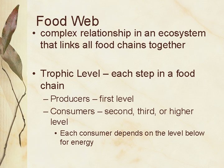 Food Web • complex relationship in an ecosystem that links all food chains together