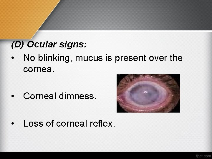 (D) Ocular signs: • No blinking, mucus is present over the cornea. • Corneal