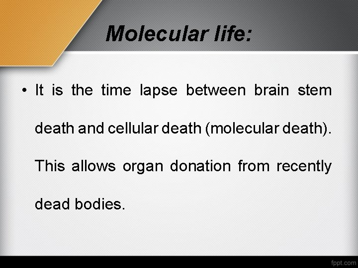 Molecular life: • It is the time lapse between brain stem death and cellular