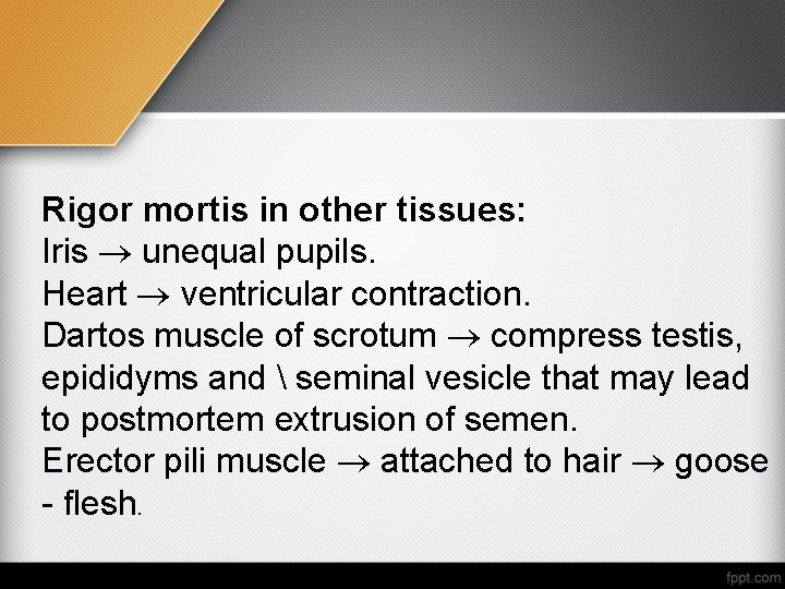 Rigor mortis in other tissues: Iris unequal pupils. Heart ventricular contraction. Dartos muscle of