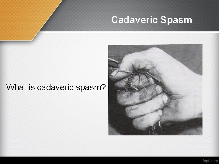 Cadaveric Spasm What is cadaveric spasm? 
