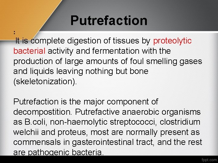 Putrefaction : It is complete digestion of tissues by proteolytic bacterial activity and fermentation