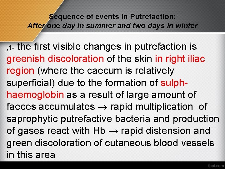 Sequence of events in Putrefaction: After one day in summer and two days in