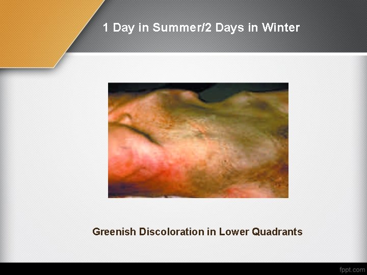 1 Day in Summer/2 Days in Winter Greenish Discoloration in Lower Quadrants 