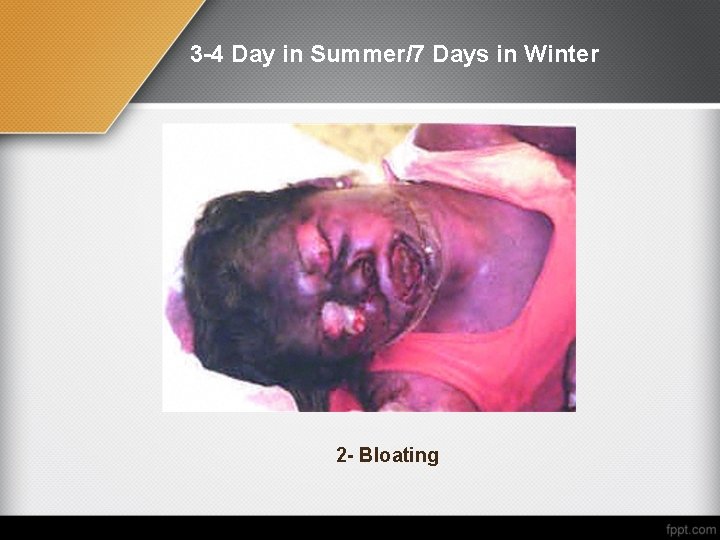 3 -4 Day in Summer/7 Days in Winter 2 - Bloating 