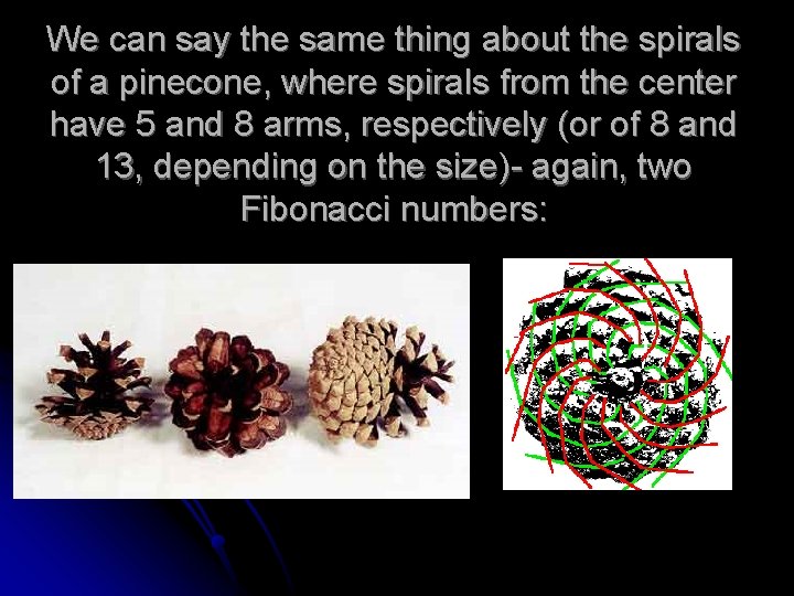 We can say the same thing about the spirals of a pinecone, where spirals