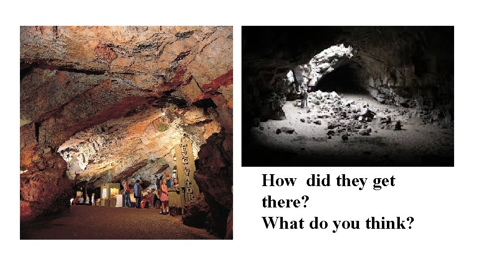 How did they get there? What do you think? 