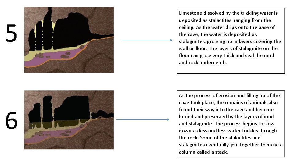 5 6 Limestone dissolved by the trickling water is deposited as stalactites hanging from