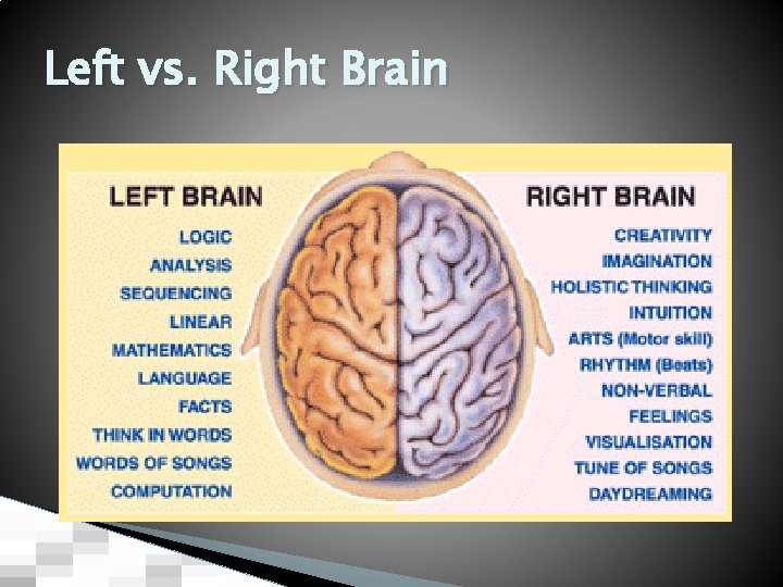 Left vs. Right Brain 