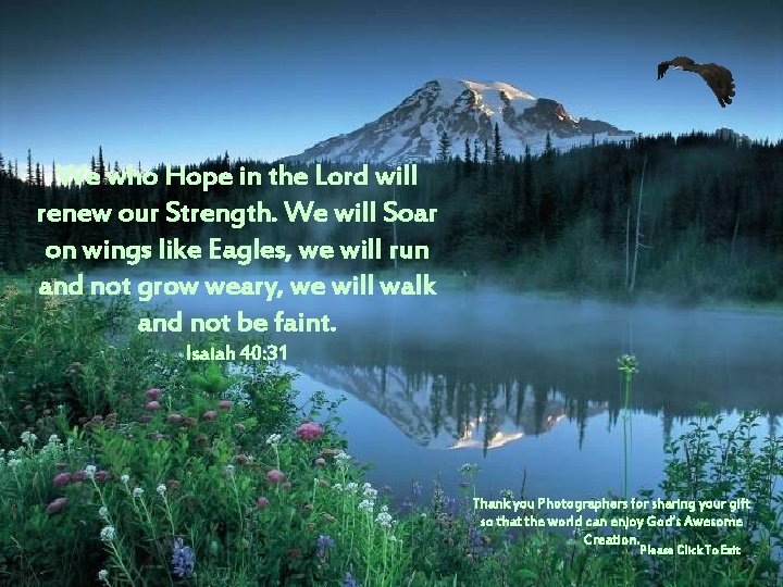 We who Hope in the Lord will renew our Strength. We will Soar on