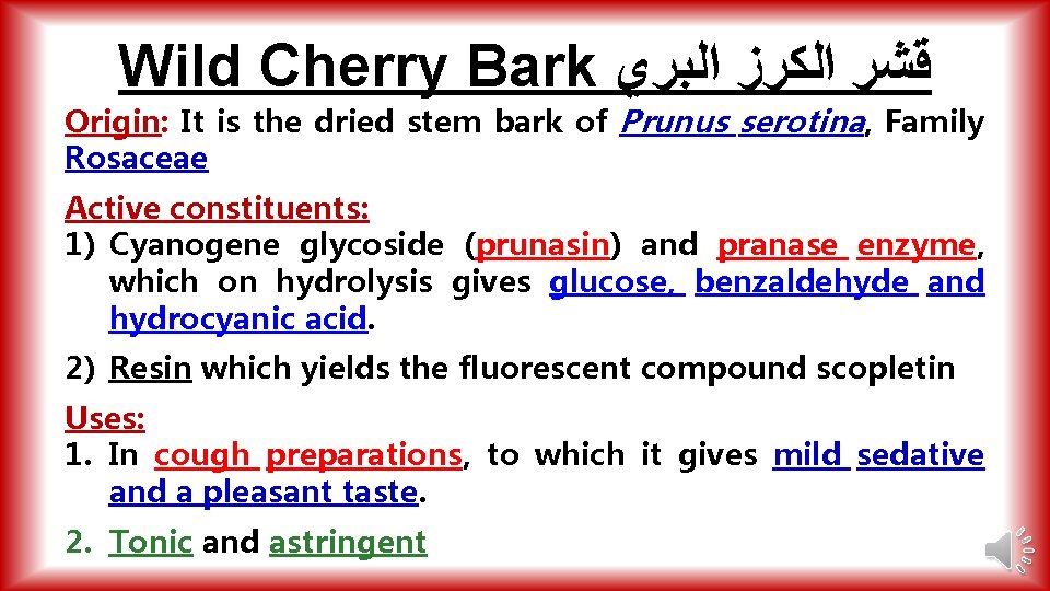 Wild Cherry Bark ﻗﺸﺮ ﺍﻟﻜﺮﺯ ﺍﻟﺒﺮﻱ Origin: It is the dried stem bark of