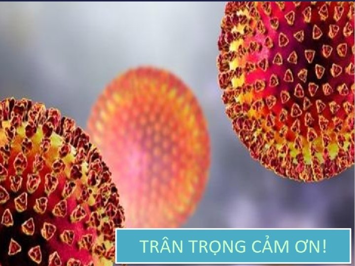 Cám ơn sự chú ý lắng nghe! 