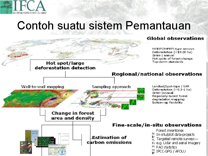 Contoh suatu sistem Pemantauan Forest inventories In-situ/plot data-projects Targeted remote surveys— e. g. Lidar