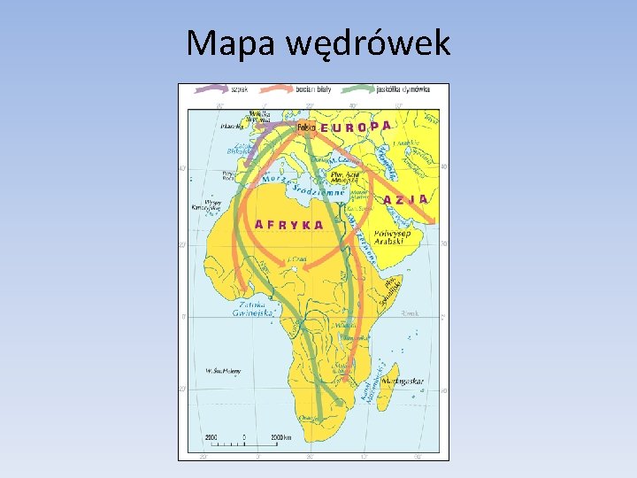 Mapa wędrówek 