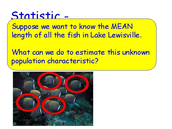 Chapter 4 Numerical Methods for Describing Data Population