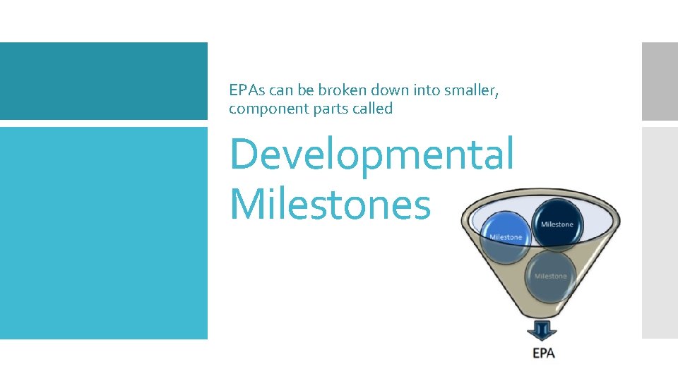 EPAs can be broken down into smaller, component parts called Developmental Milestones 