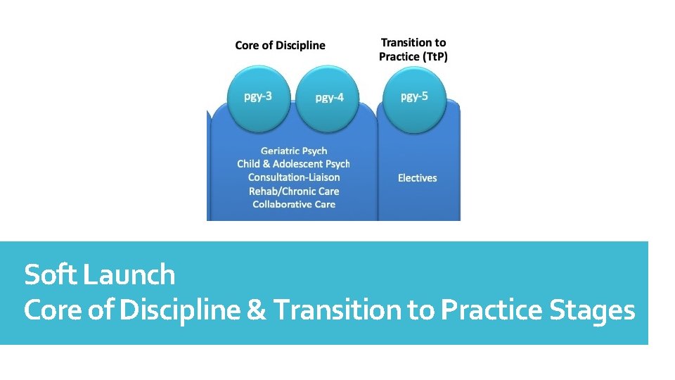 General Adult Inpatient General Adult Outpatient Soft Launch Core of Discipline & Transition to