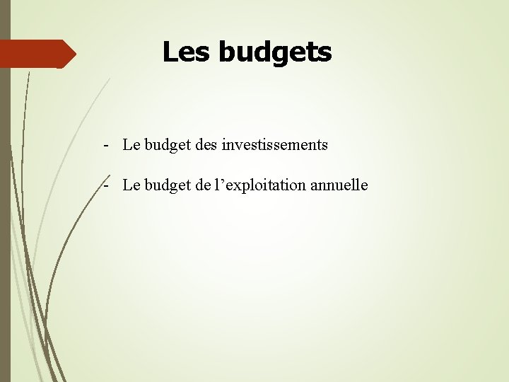 Les budgets - Le budget des investissements - Le budget de l’exploitation annuelle 